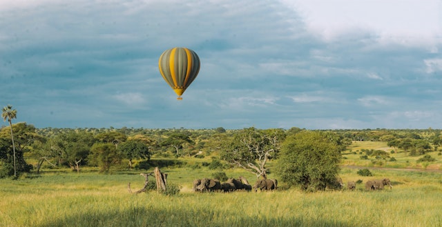 Tarangire Kati Kati - Lemiiyoni site