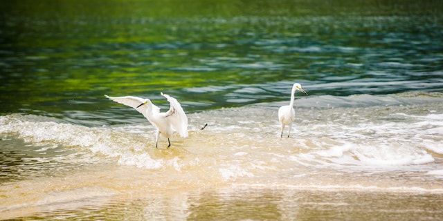 Tayrona National Park-1
