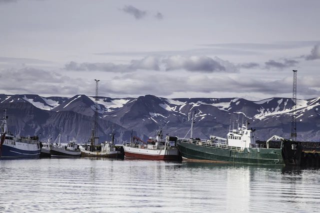 Husavik-1