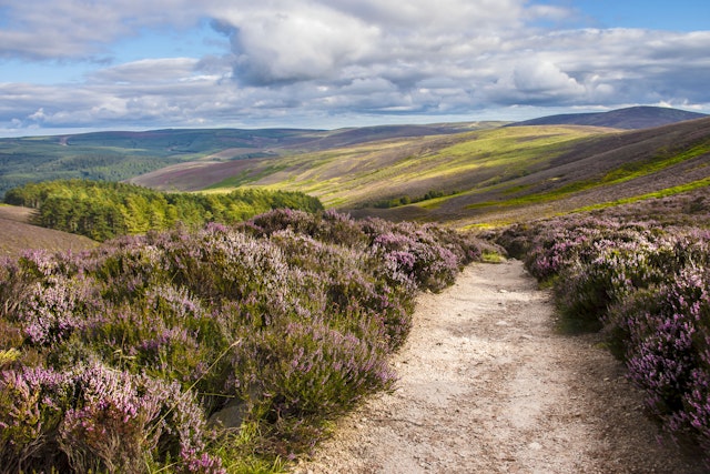 Cairngorms National Park-3