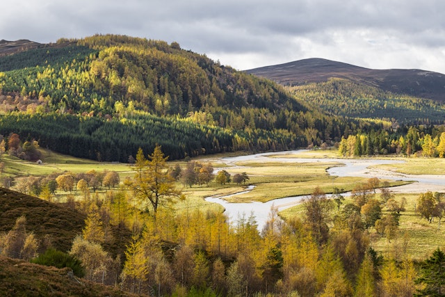 Cairngorms National Park-0