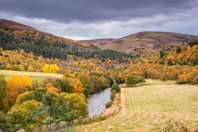 Cairngorms National Park-5