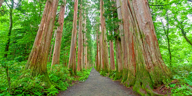 Nagano-5