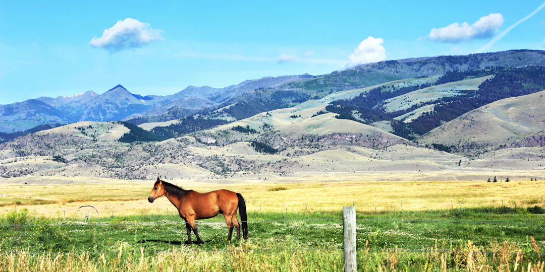 Road trip dans le Montana