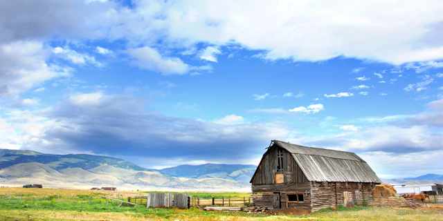 Paradise Valley-1