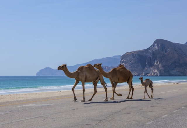 Salalah-7