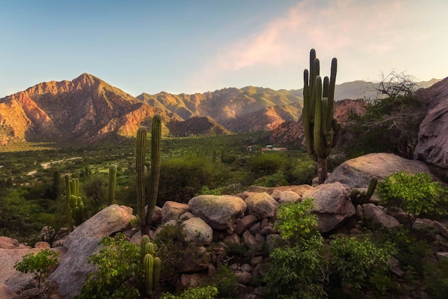 Cafayate-1