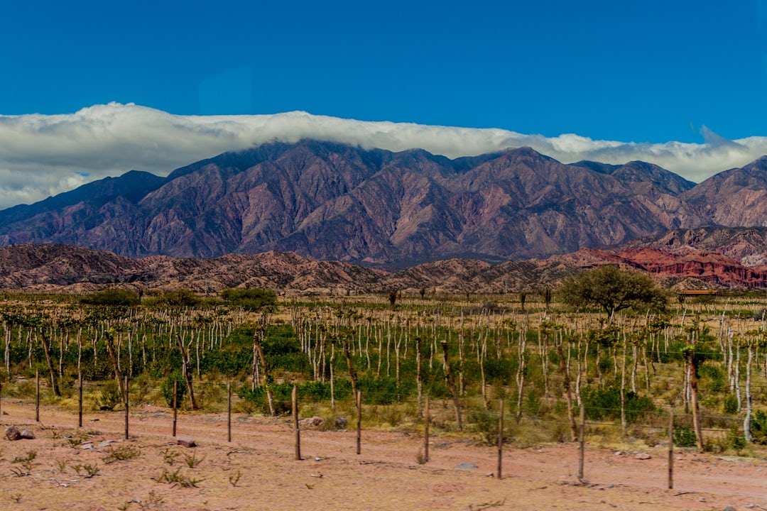 Aventure authentique dans le nord de l'Argentine 