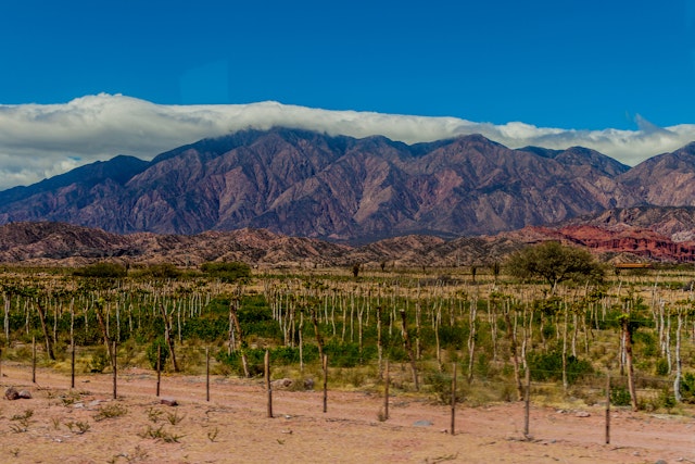 Cafayate-3
