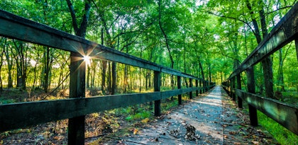 Autotour en Louisiane - Image 3