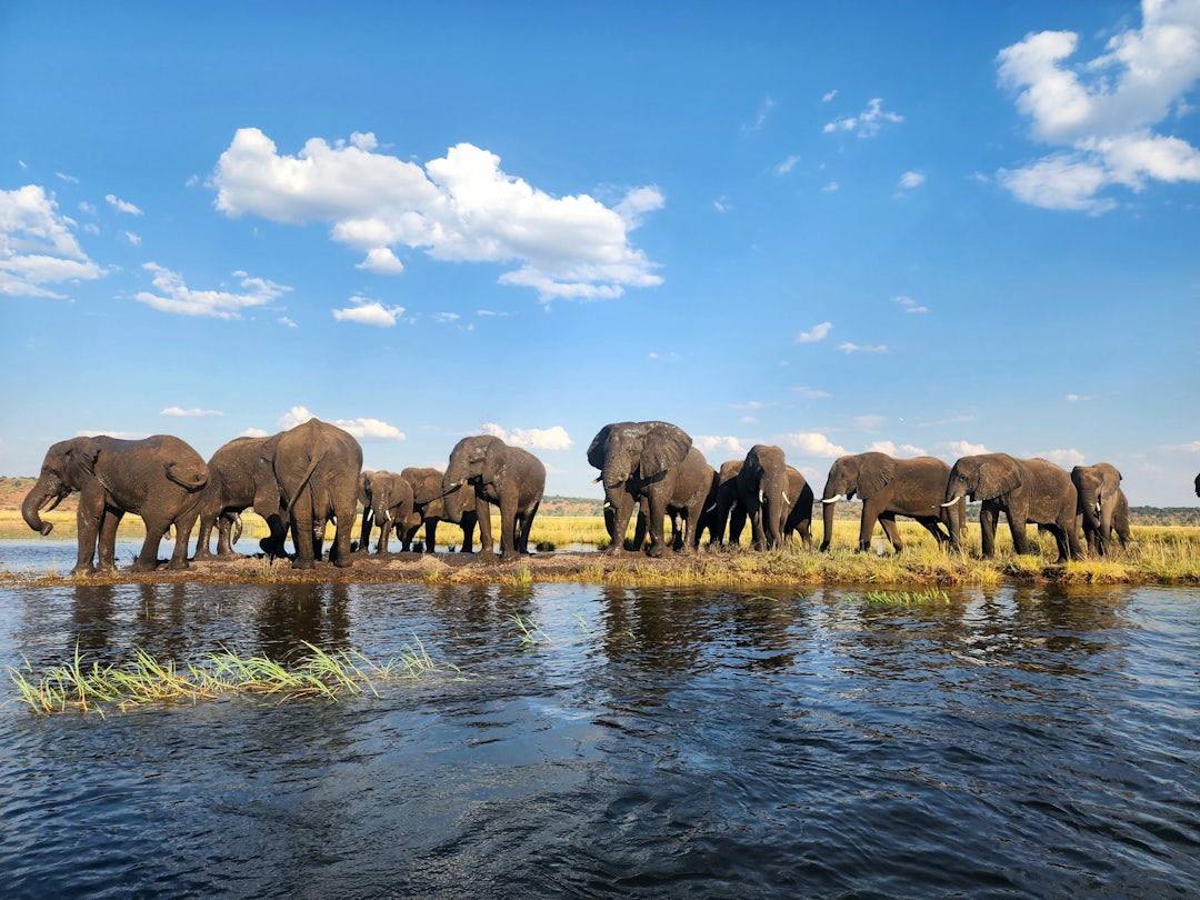 Circuit en Namibie, Botswana et Zimbabwe