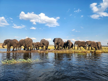 Circuit en Namibie, Botswana et Zimbabwe - Image 4