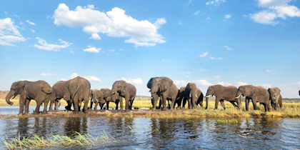 Namibia & Botswana Rundreise 3 Wochen: Ungezähmte Schönheit erleben - Image 4