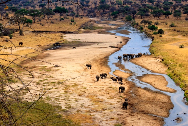Tarangire Nationalpark-4