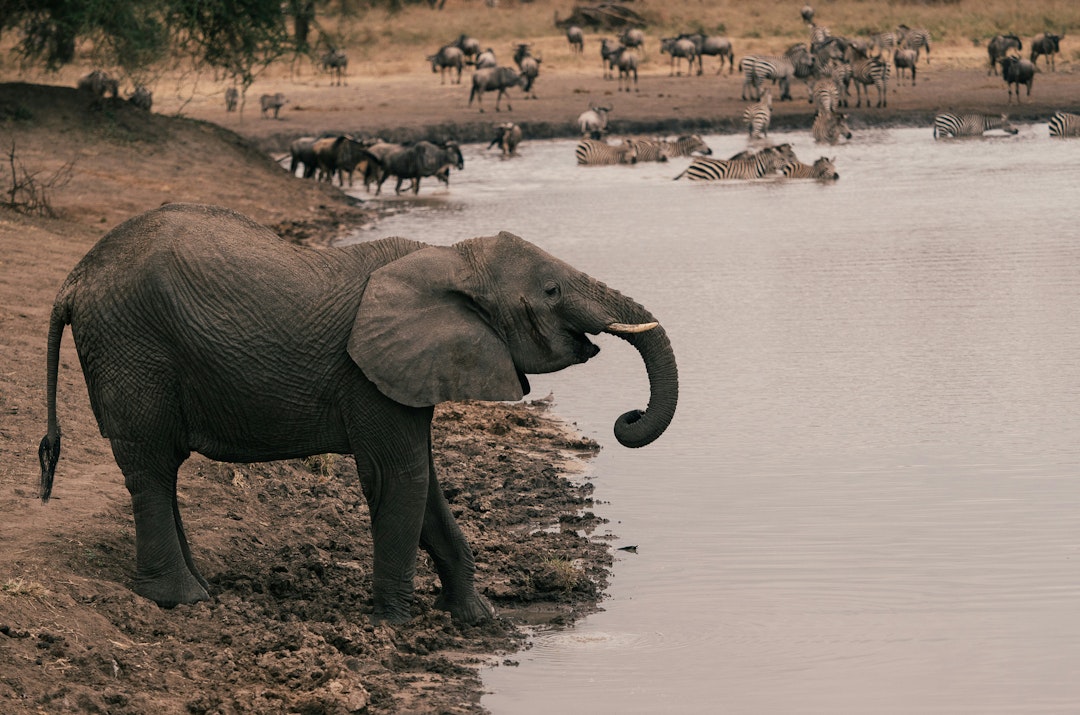 Campingsafari Tansania 11 Tage