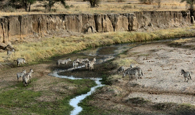 Tarangire Nationalpark-1