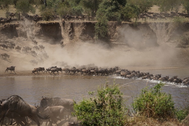 Tarangire Nationalpark-3