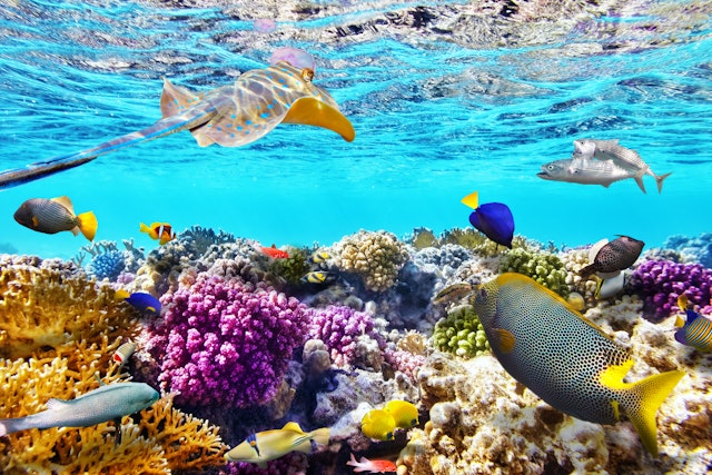 Sharm El Sheikh-5
