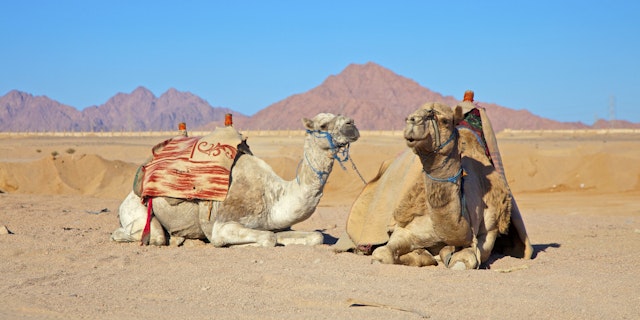 Sharm El Sheikh-4