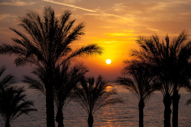 Sharm El Sheikh-1