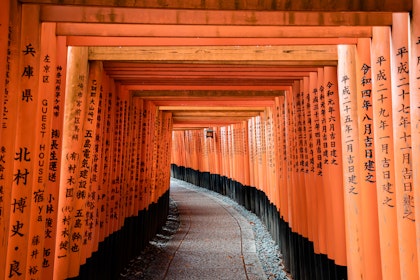 7 Tage Japan Rundreise mit Mount Fuj, Teezeremonie und Kulinarik - Image 3