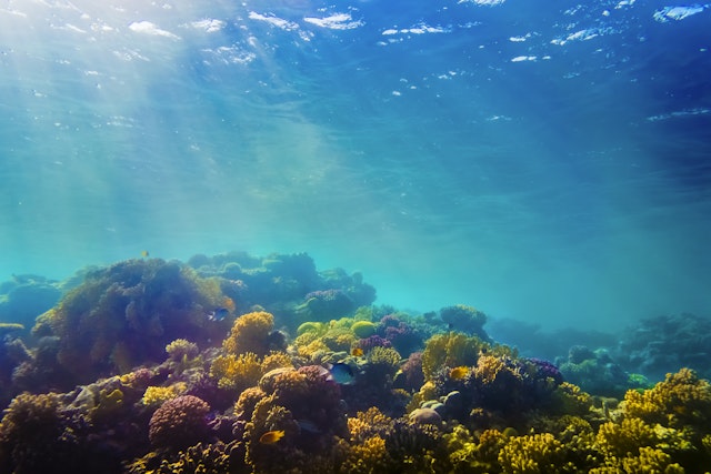 Hurghada-1