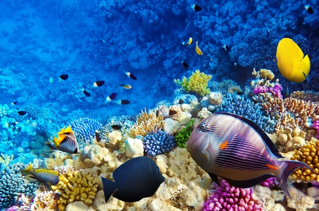 Hurghada-5