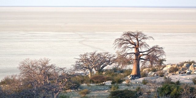 Makgadikgadi Salt Pans-0