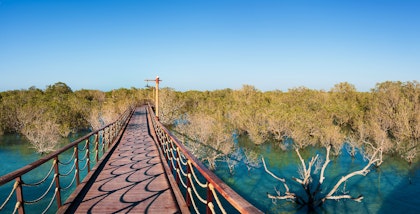 VAE Familienurlaub Abenteuer - Image 3