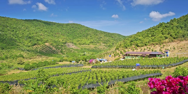 Kambodscha Entdeckungsreise von Siem Reap nach Koh Rong