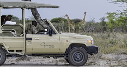 Road trip en Namibie - Image 4