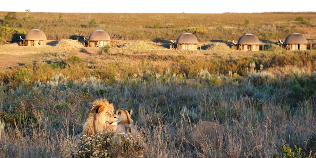 Gondwana Game Reserve-1