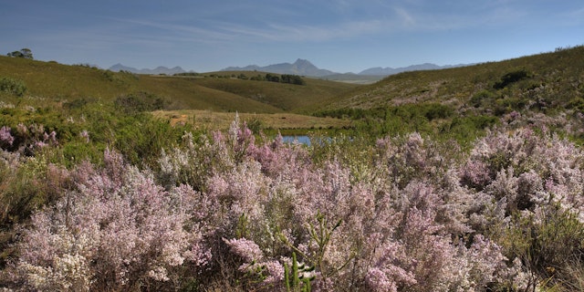 Gondwana Game Reserve-2