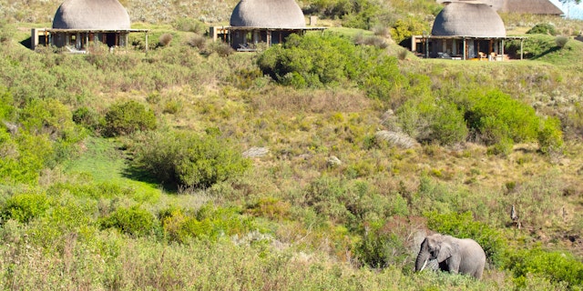 2 Wochen Südafrika Familienurlaub