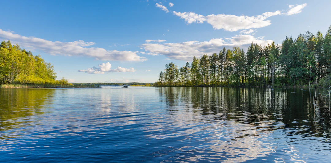 Wanderreise Finnland 7 Tage: Koli-Nationalpark & Saimaa