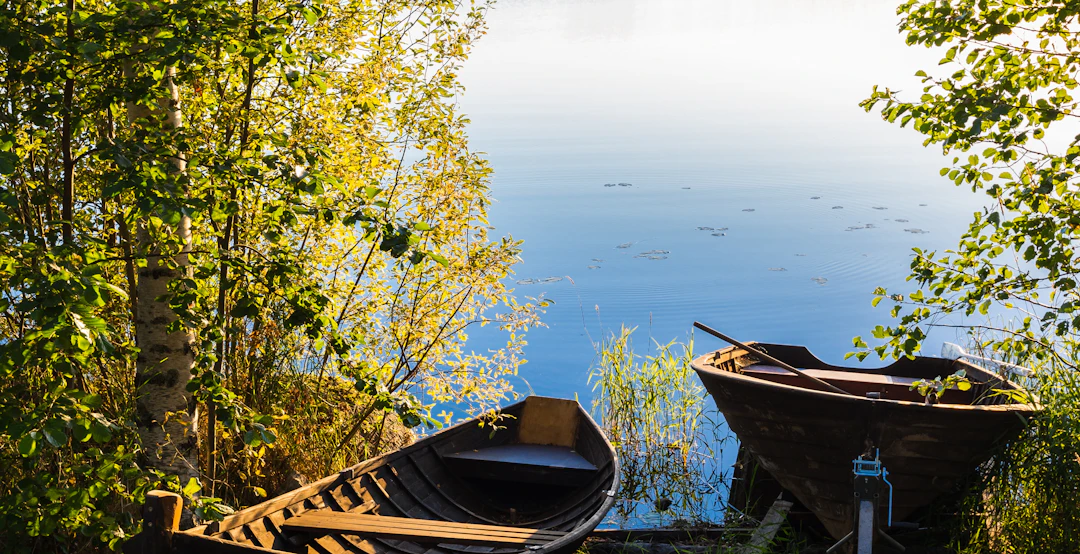 Wanderreise Finnland 7 Tage: Koli-Nationalpark & Saimaa - main image