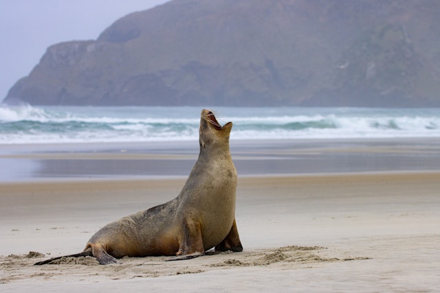 Séjour en Nouvelle Zélande pas cher