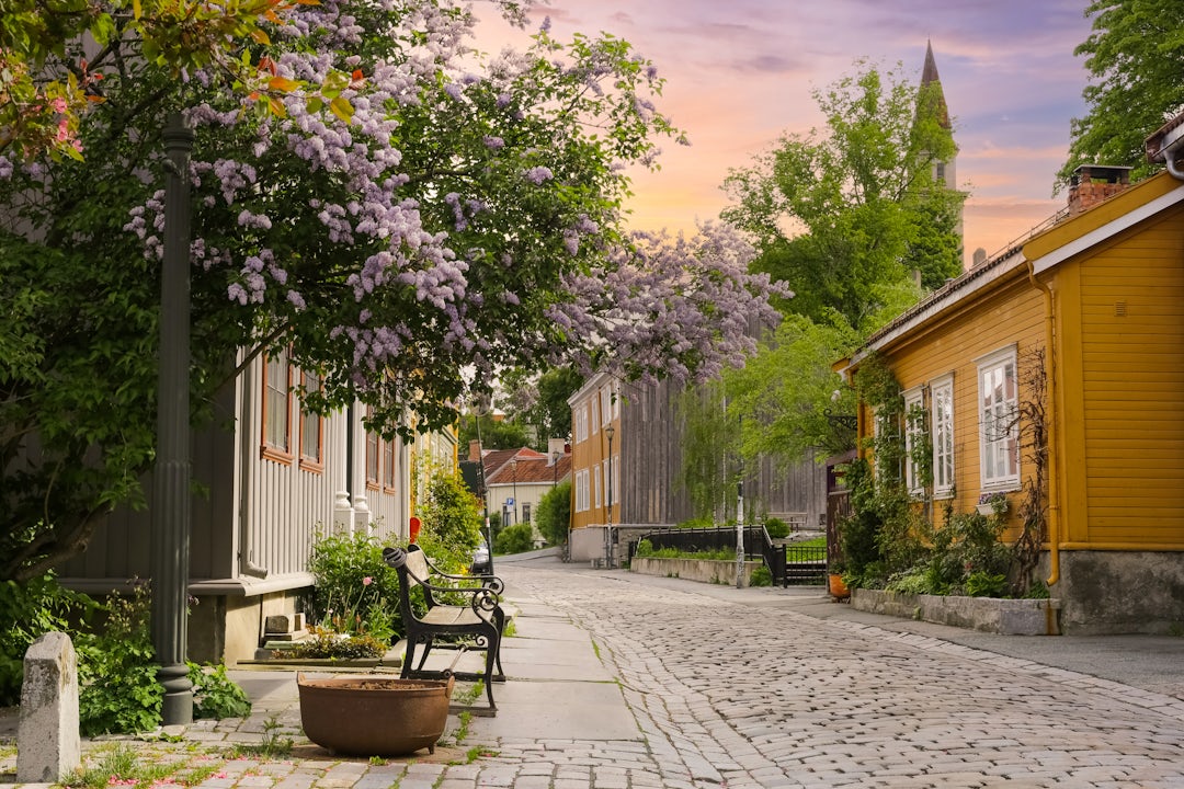 Kreuzfahrt durch Norwegens Lofoten