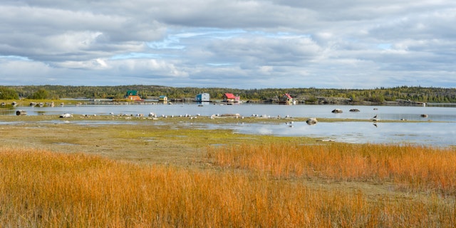 Nordlichter Reise Kanada
