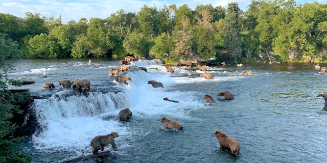Katmai National Park-9