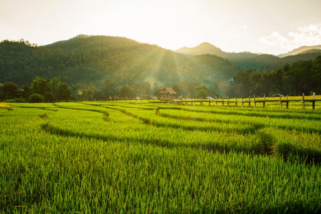 Mae Hong Son-3