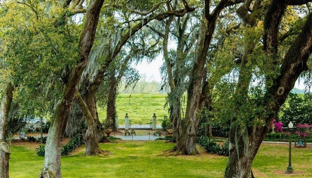 Houmas House Plantation and Gardens