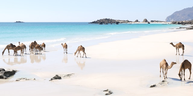 Oman-5