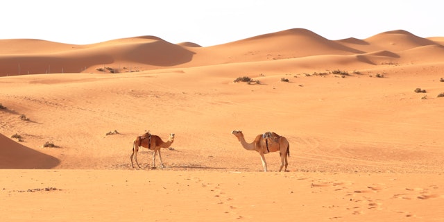 Oman-4