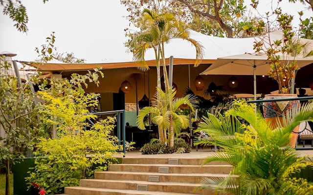 Shongwe Oasis
