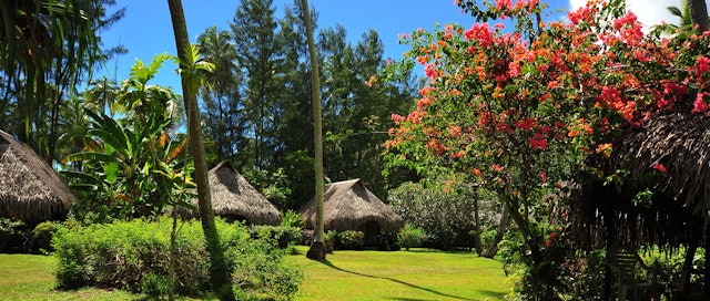 Hotel Hibiscus