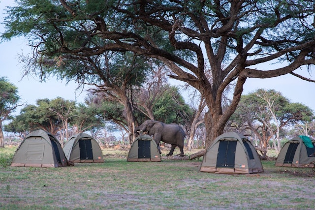 Xakanaxa Campsite