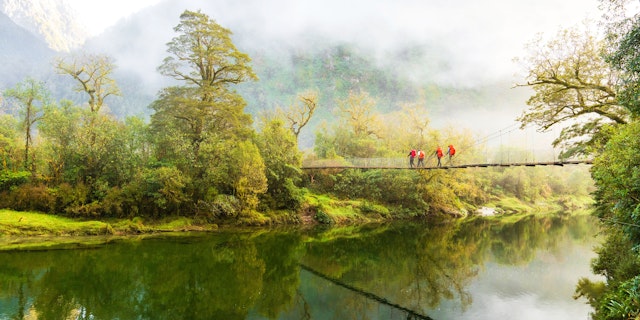 Fiordland-1