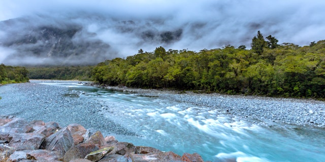Fiordland-4