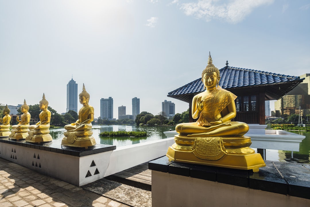 Trésors du Sri Lanka en 6 jours